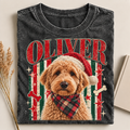 Custom Pet Photo Christmas Shirt, Preppy Striped Dog Portrait Tee