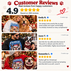 Personalized Bulldog Christmas Shirt – Custom Dog Name Holiday Graphic Tee