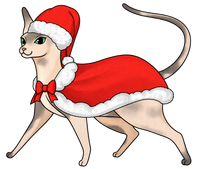 Sphynx #7
