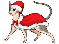 Sphynx #9