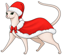 Sphynx #12