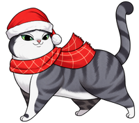 Scottish Fold #8