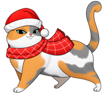 Scottish Fold #11
