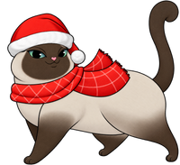 Scottish Fold #12